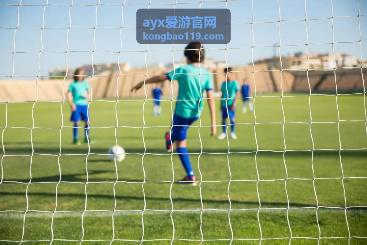 ayx爱游官网权益到期与续期说明配图