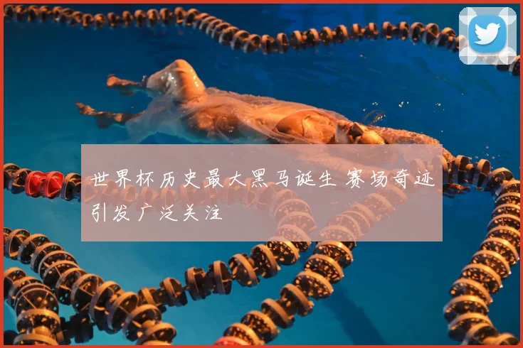 世界杯历史最大黑马诞生 赛场奇迹引发广泛关注