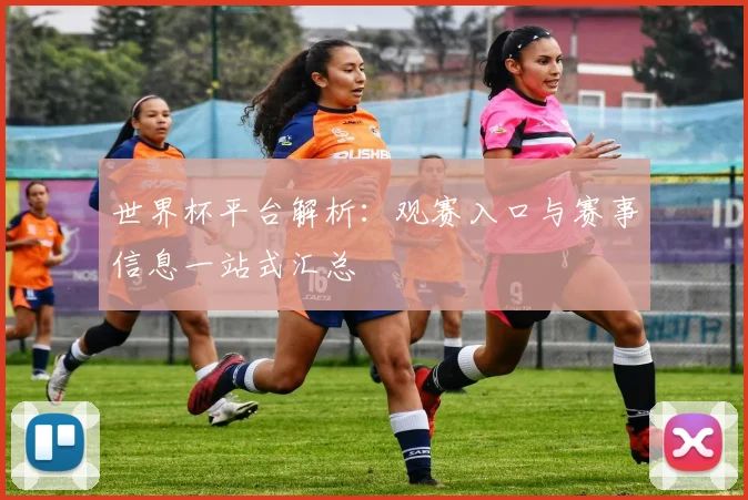 世界杯平台解析:观赛入口与赛事信息一站式汇总