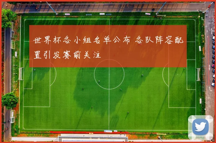 世界杯各小组名单公布 各队阵容配置引发赛前关注
